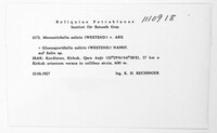 Image Associated With the Occurrence
